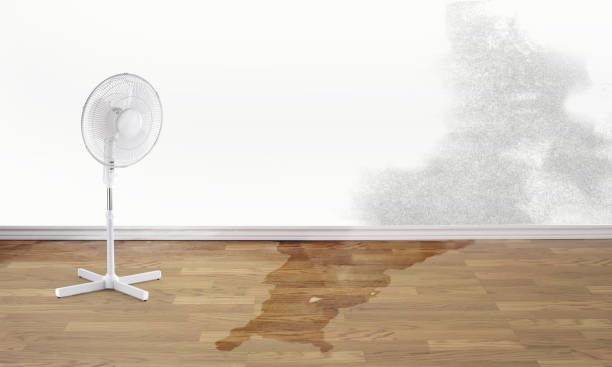 Best 24-hour water damage restoration  in Shoreline, WA