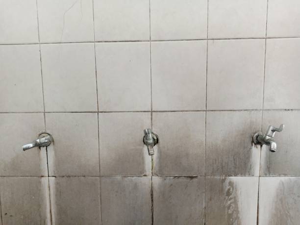 Trusted WA Water damage restoration Experts