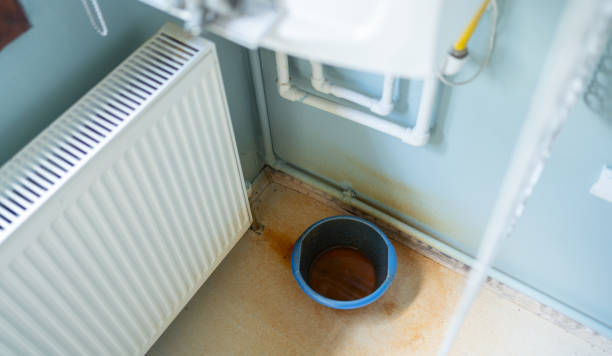 Best Water damage cleanup near me  in Shoreline, WA