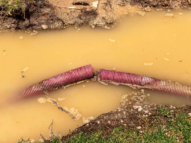  Shoreline, WA Water damage restoration Pros